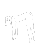 horse04.gif