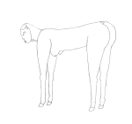 horse05.gif