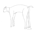 horse07.gif