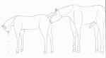 horse08.gif