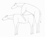 horse10.gif