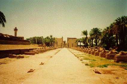 {View down avenue,
 lined with sphinxes, towards Luxor Temple